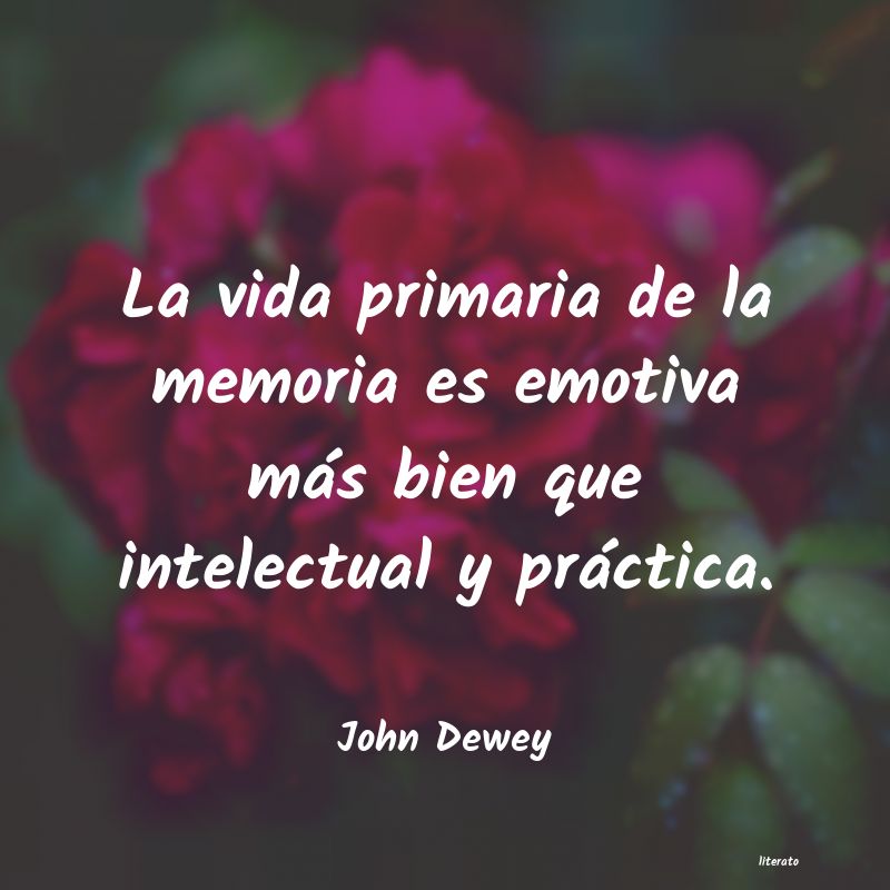 Frases de John Dewey