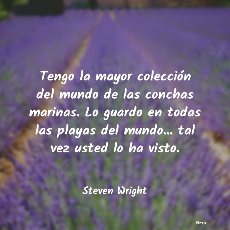 Frases de Steven Wright