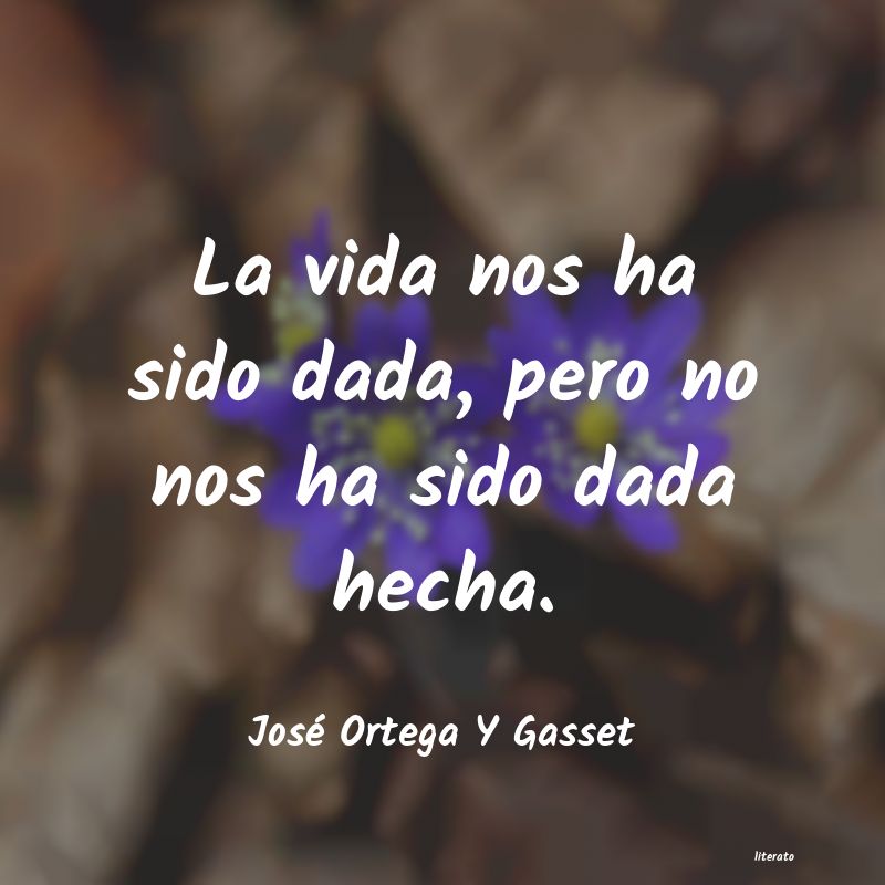 Frases de José Ortega Y Gasset