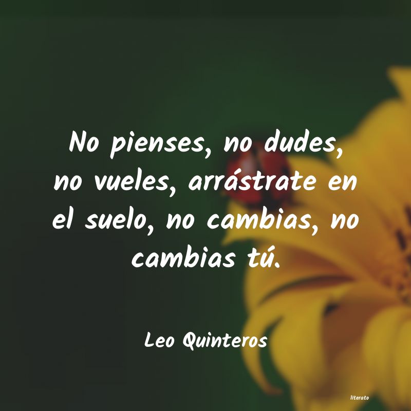 Frases de Leo Quinteros