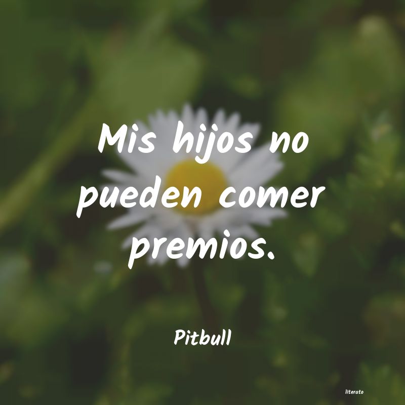 frases de Pitbull