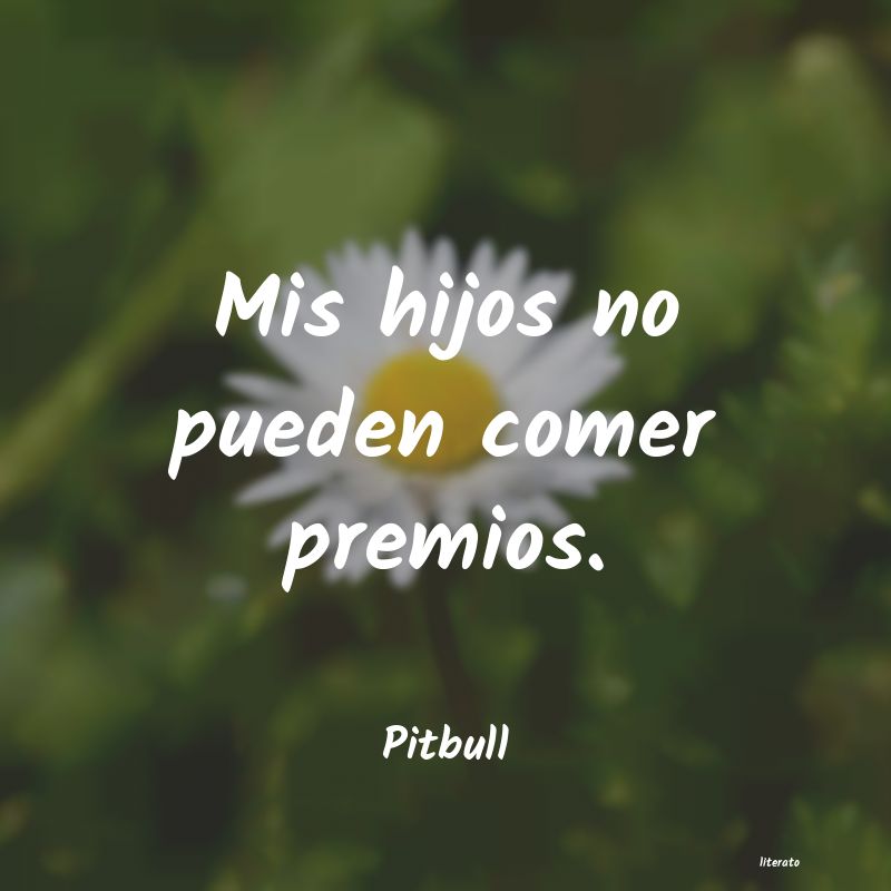 Frases de Pitbull