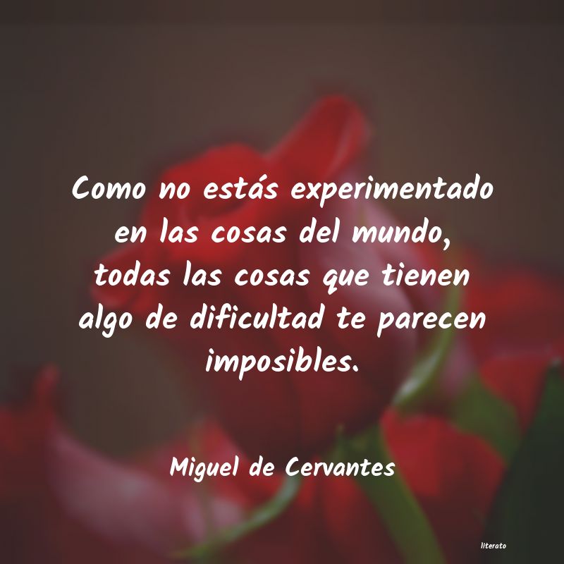 Frases de Miguel de Cervantes