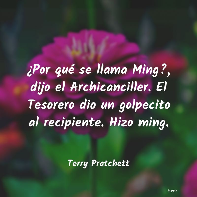 Frases de Terry Pratchett