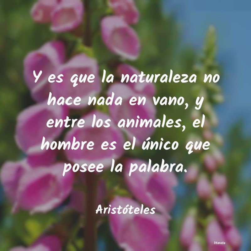 Frases de Aristóteles