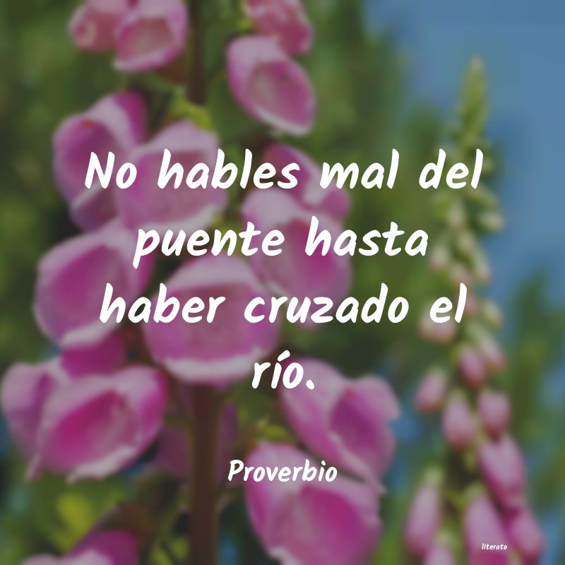 Frases de Proverbio