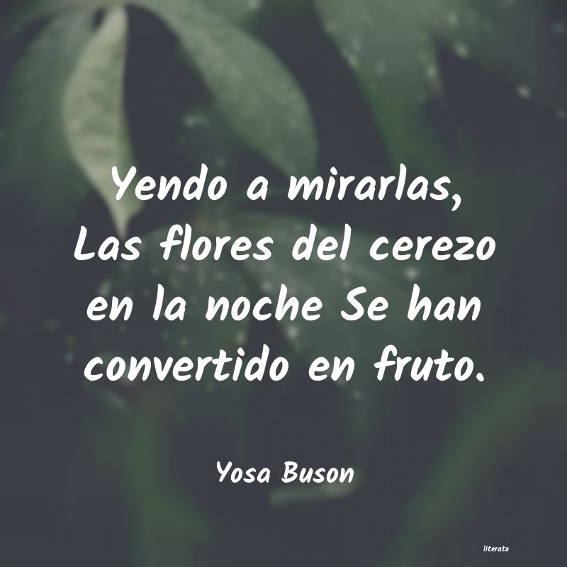 Frases de Yosa Buson