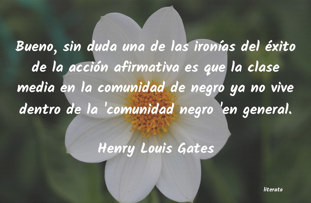 frases de Henry Louis Gates