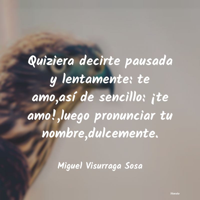 Frases de Miguel Visurraga Sosa