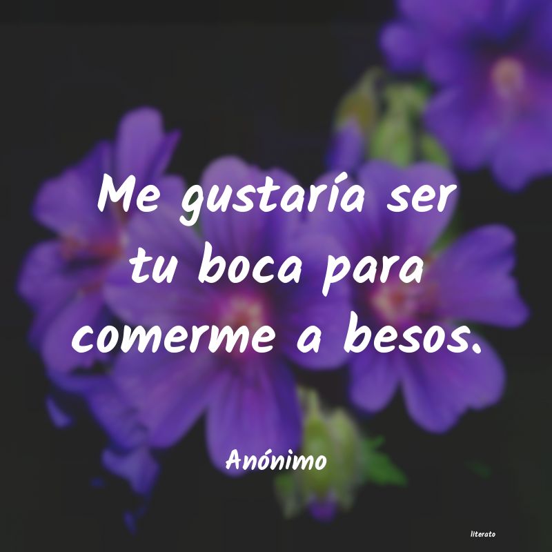frases