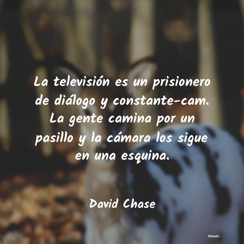 Frases de David Chase