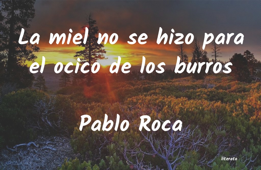 frases de Pablo Roca