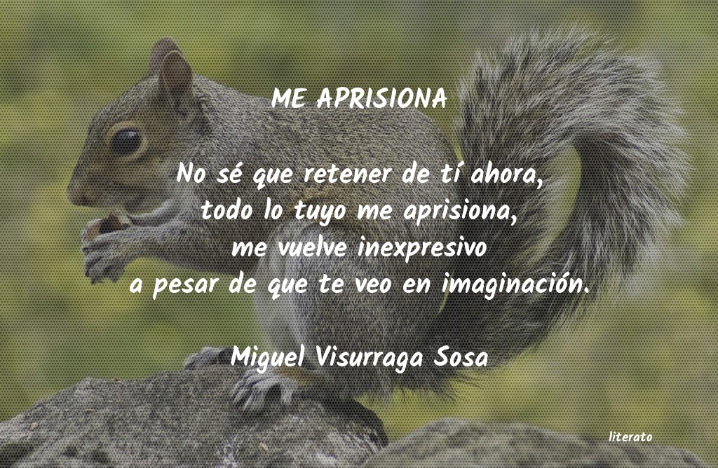 frases de Miguel Visurraga Sosa