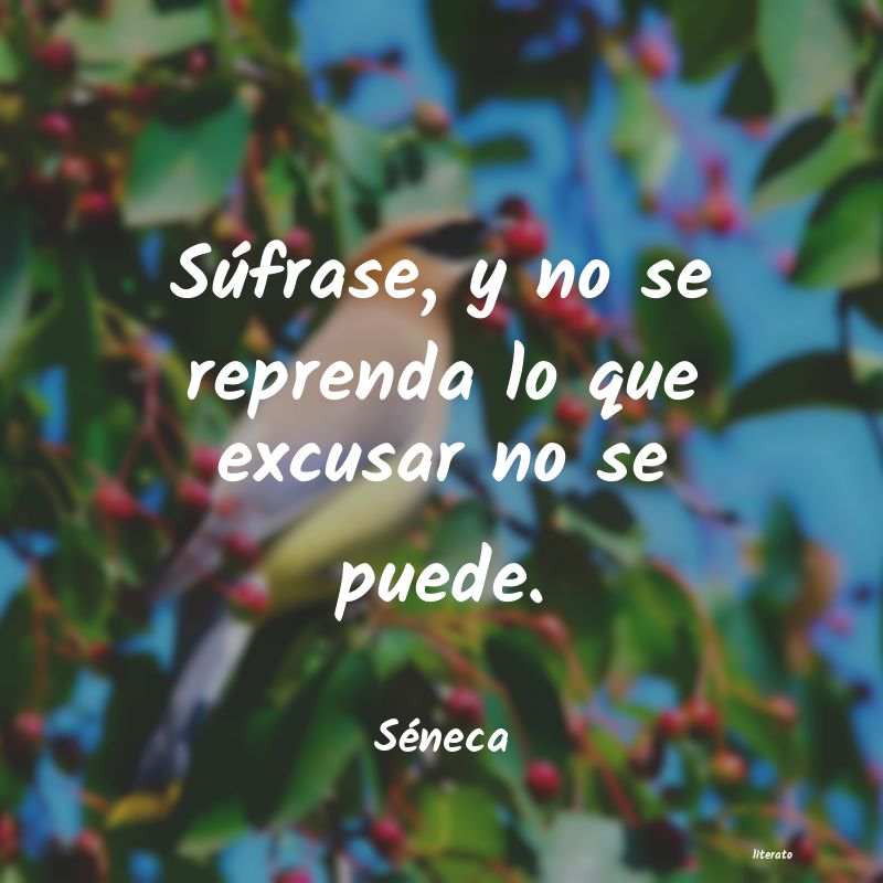 frases de Séneca