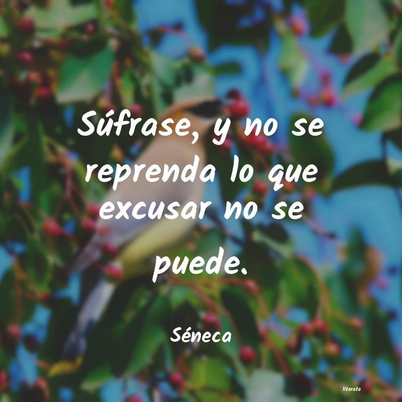 Frases de Séneca