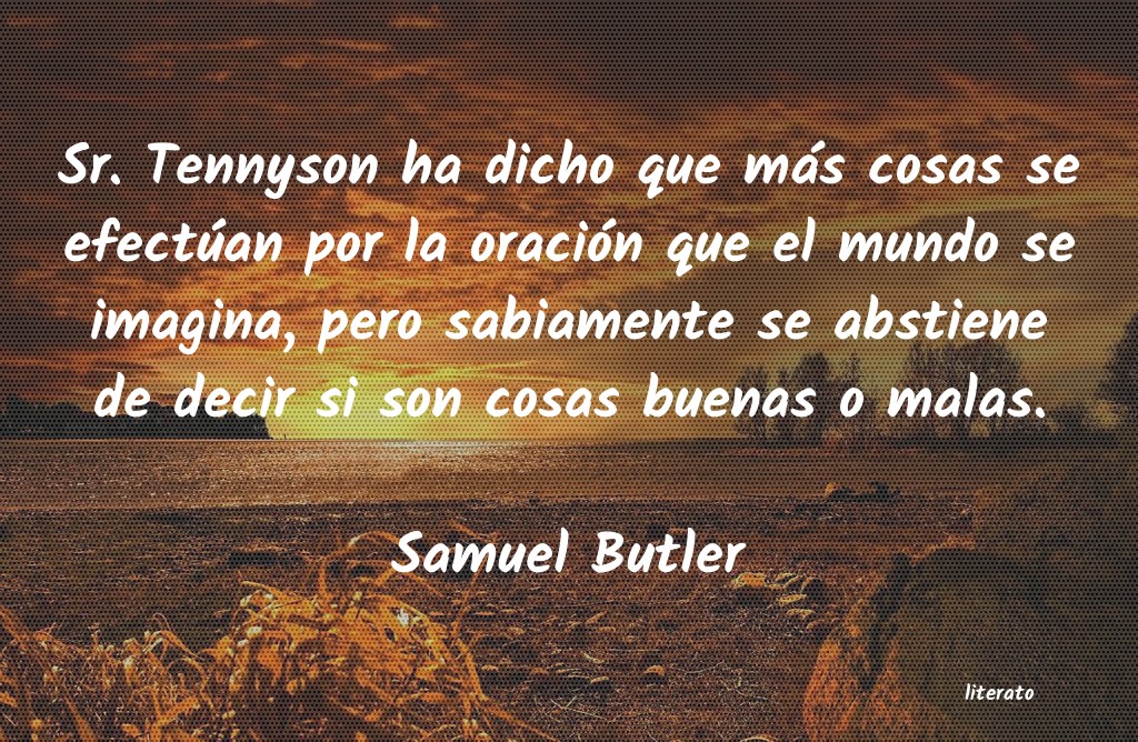 frases de Samuel Butler