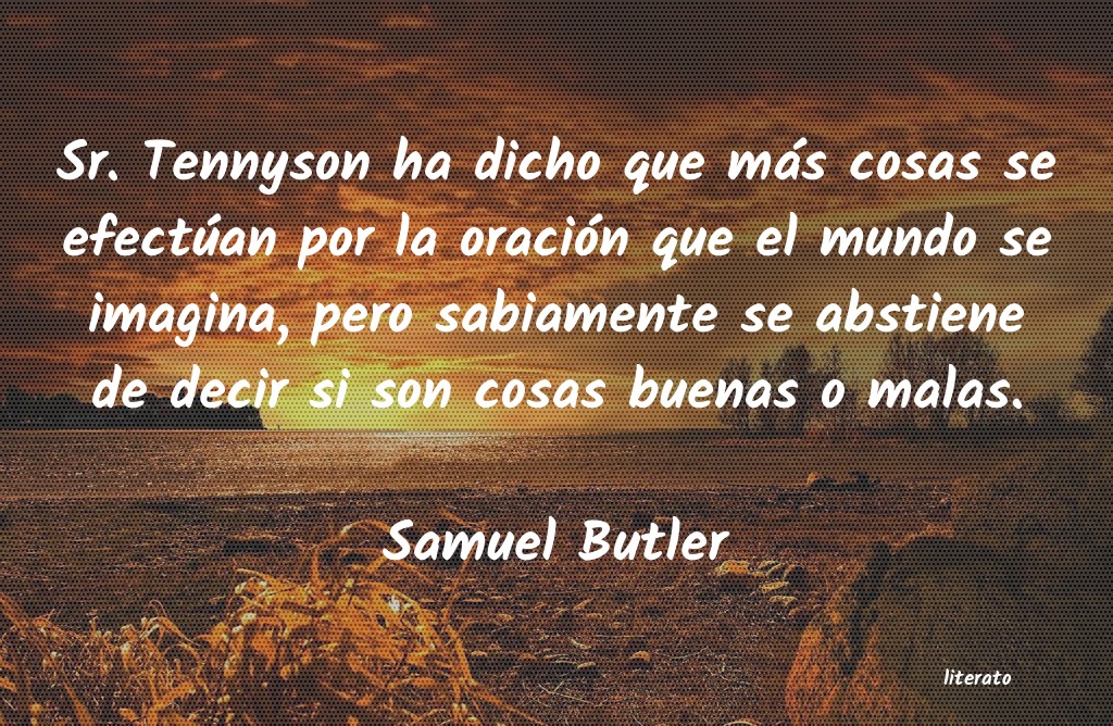 Frases de Samuel Butler