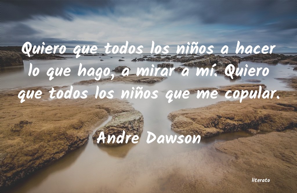 frases de Andre Dawson