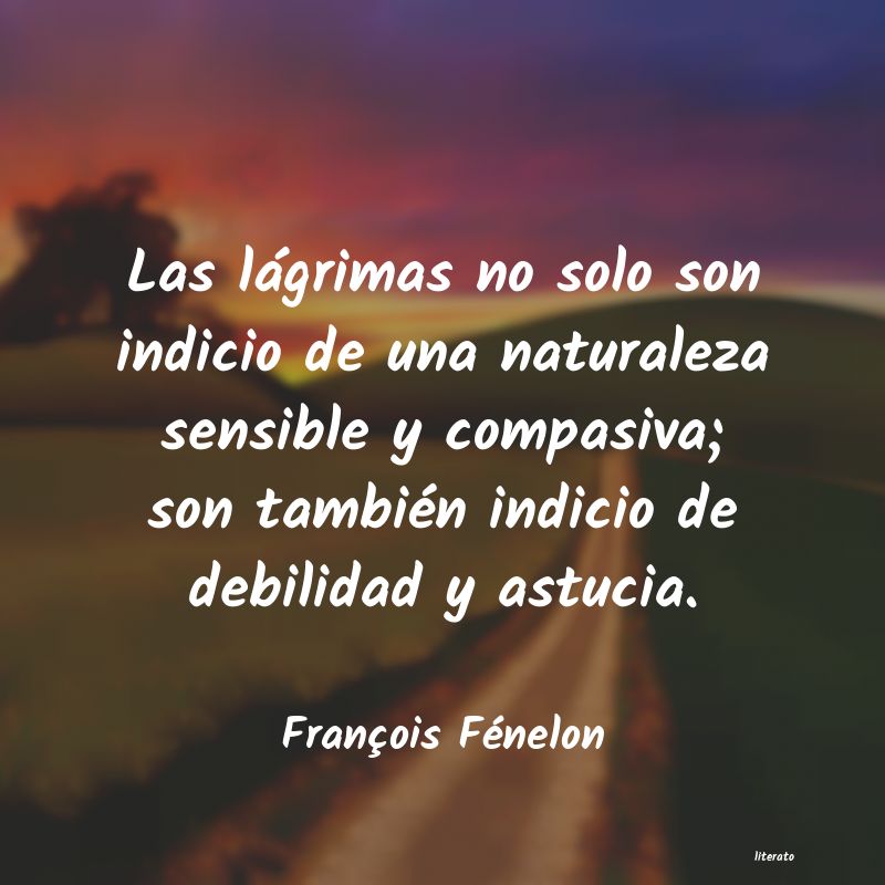 Frases de François Fénelon