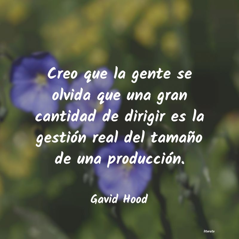 frases de Gavid Hood
