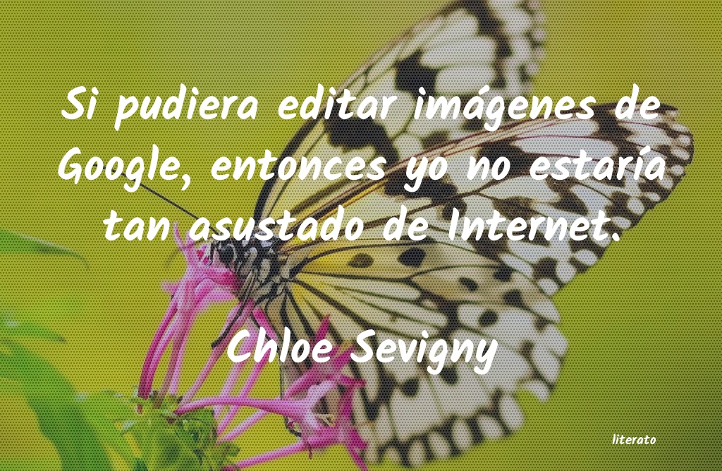 Frases de Chloe Sevigny