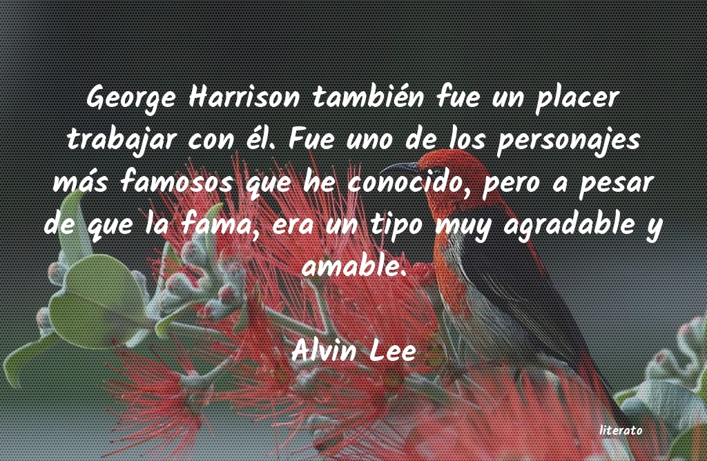 Frases de Alvin Lee