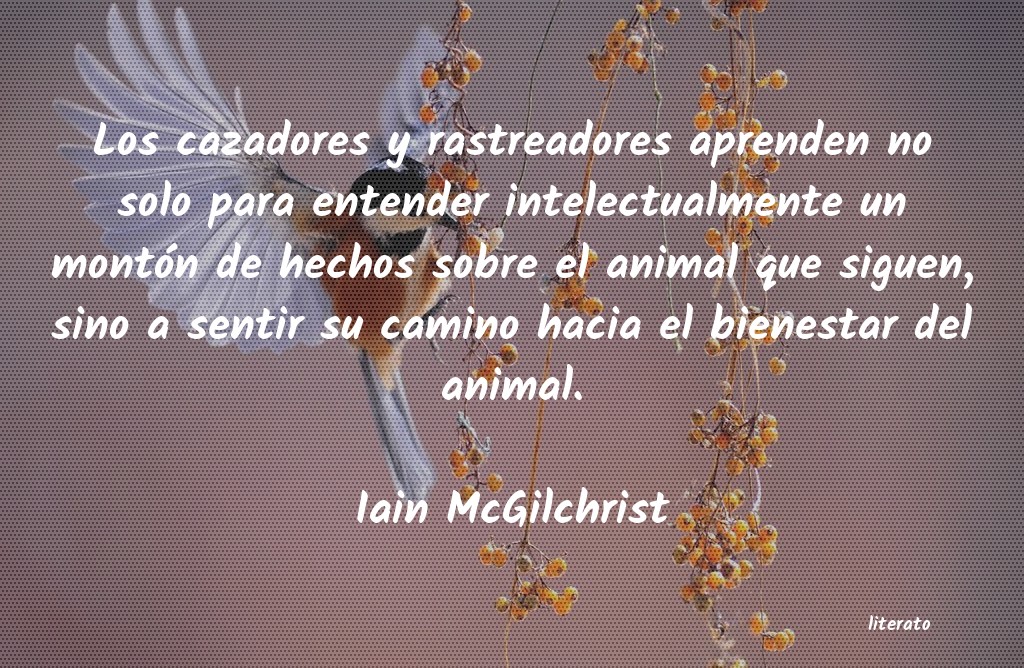 Frases de Iain McGilchrist