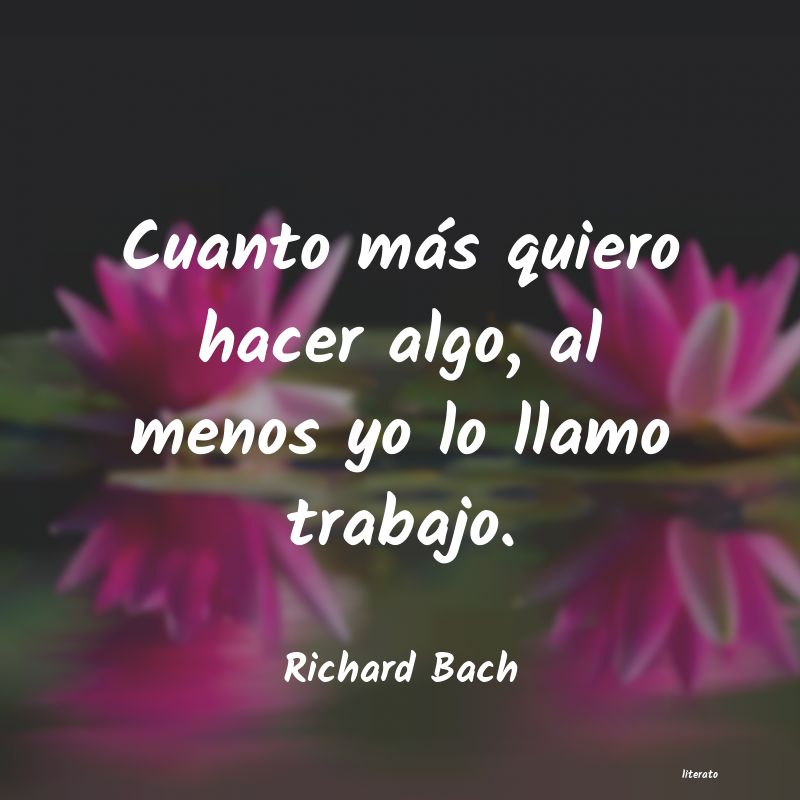 richard bach nunca te conceden un deseo