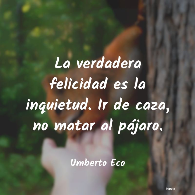 frases de Umberto Eco