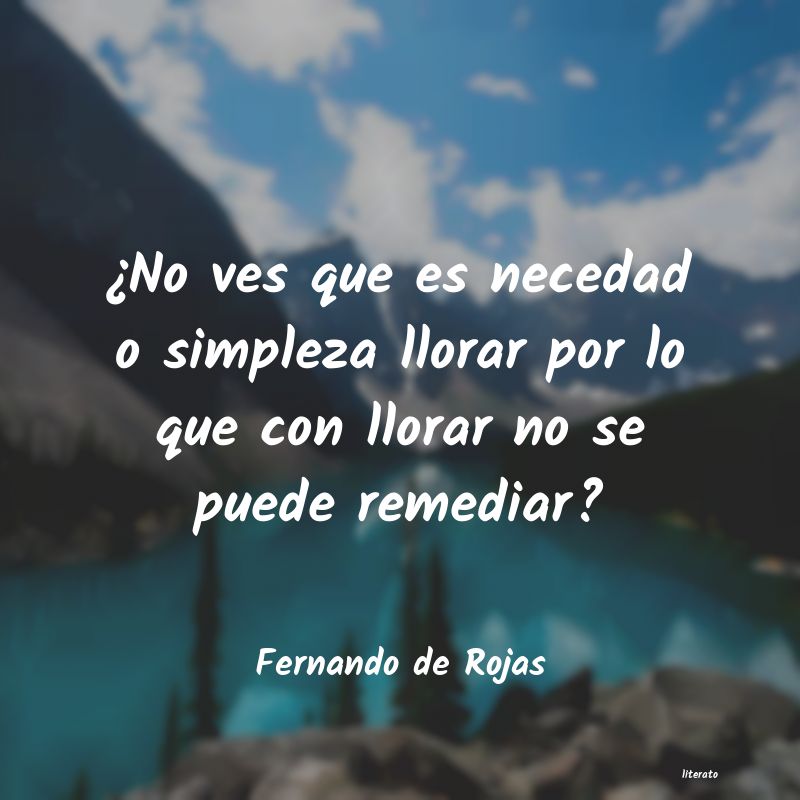 Frases de Fernando de Rojas