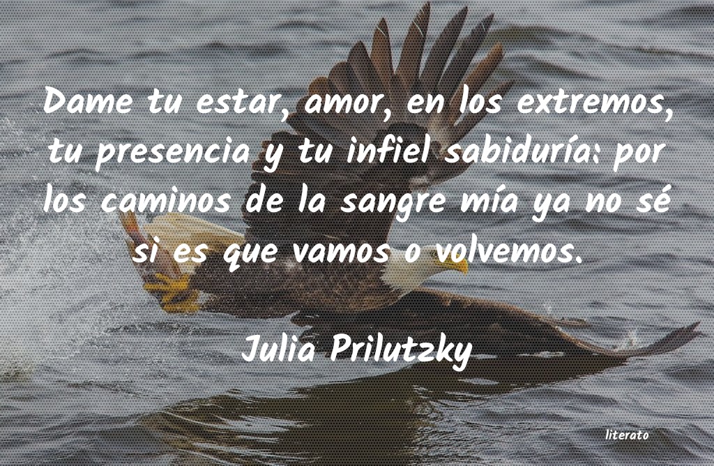 frases de Julia Prilutzky