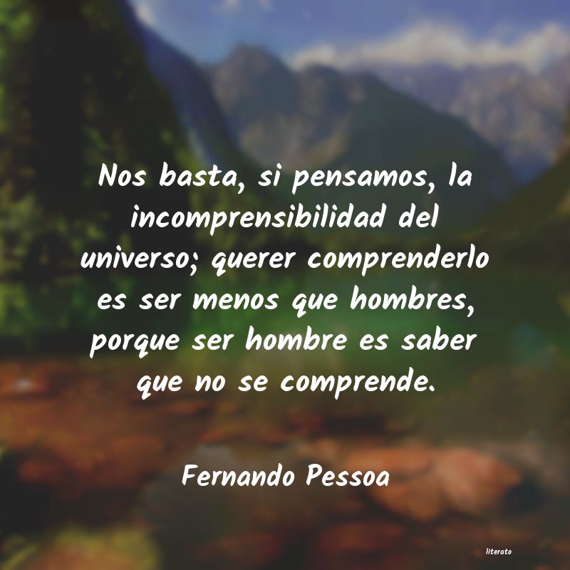 frases de saber