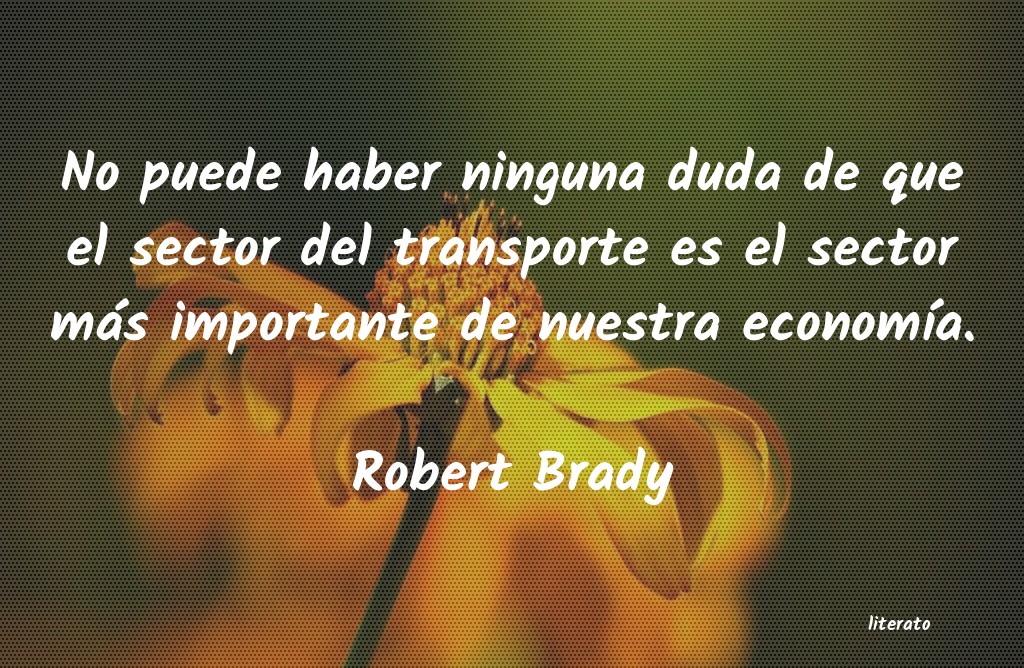 Frases de Robert Brady