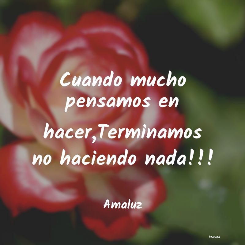frases de Amaluz