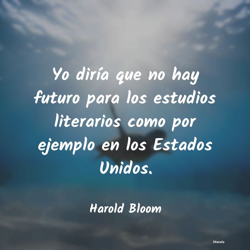 Frases de Harold Bloom