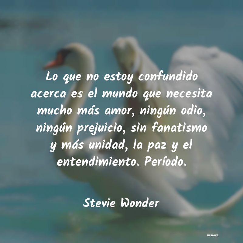 Frases de Stevie Wonder