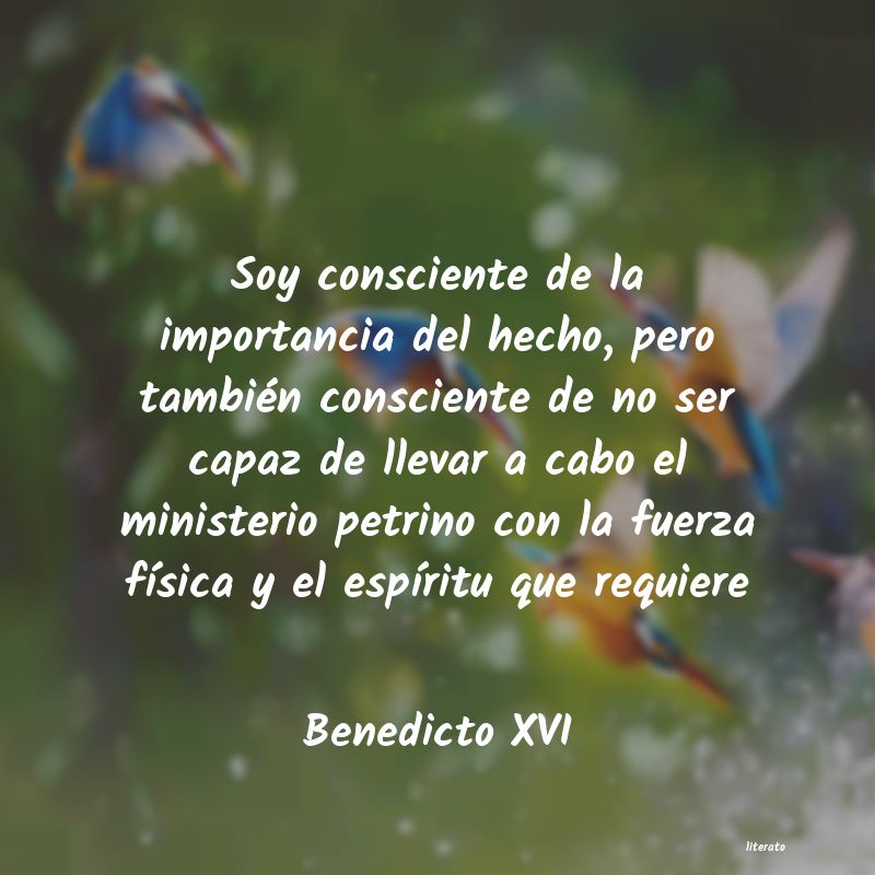 Frases de Benedicto XVI