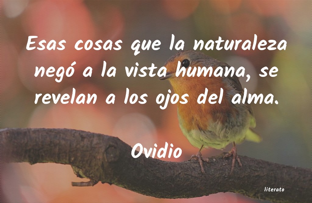 frases de Ovidio