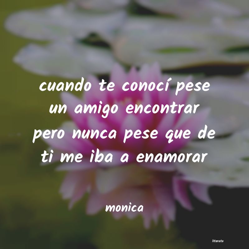 frases de monica