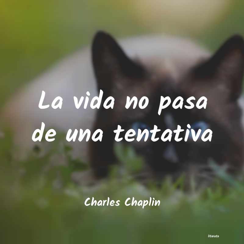 vive Charles Chaplin