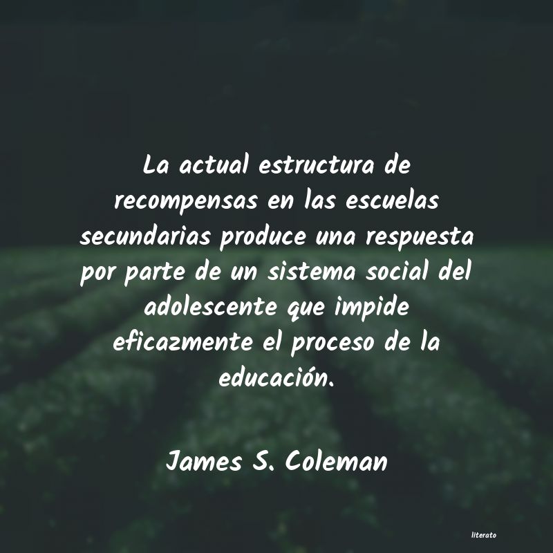 frases de James S. Coleman