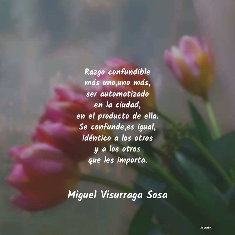 Frases de Miguel Visurraga Sosa