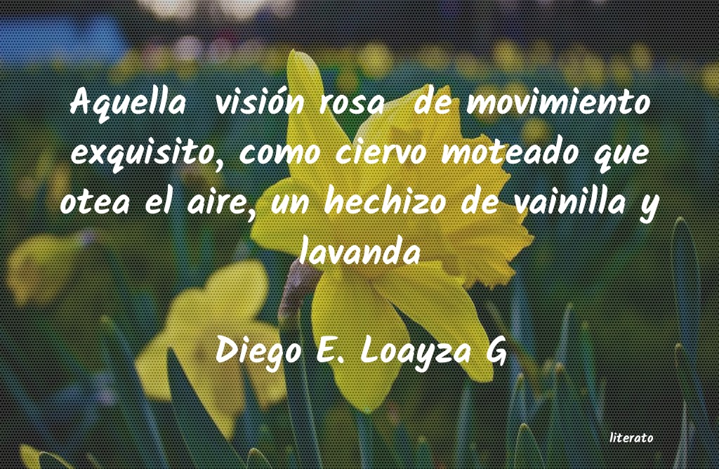 Frases de Diego E. Loayza G