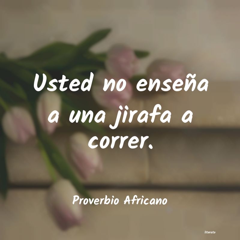 Frases de Proverbio Africano