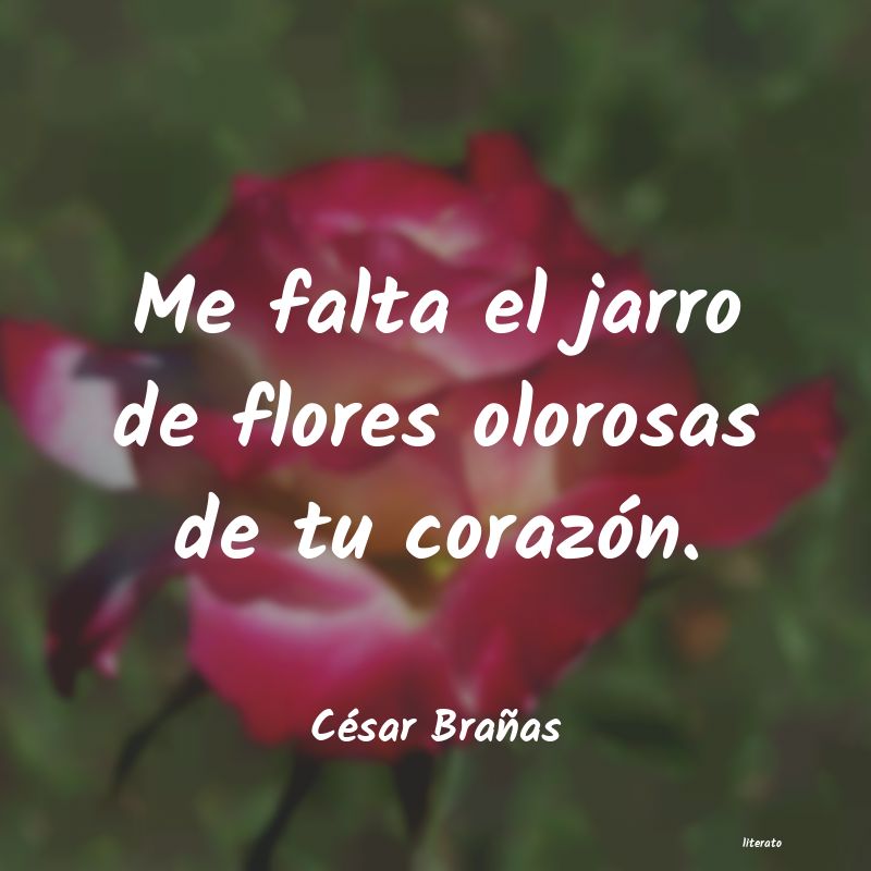frases de César Brañas