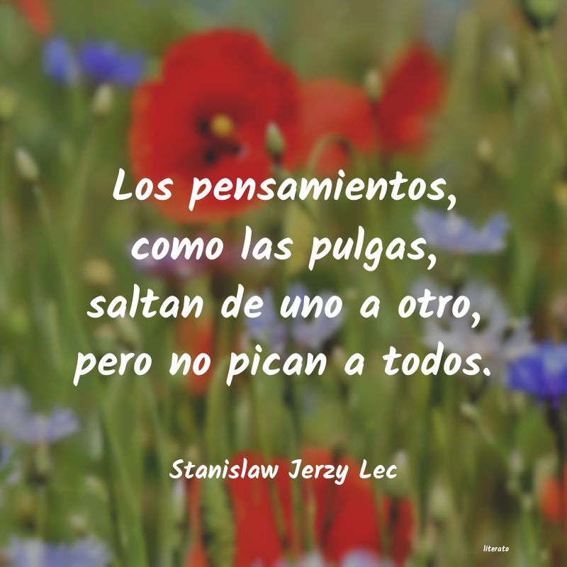 Frases de Stanislaw Jerzy Lec