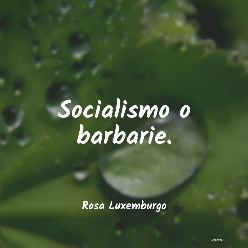 <ol class='breadcrumb' itemscope itemtype='http://schema.org/BreadcrumbList'>
<li itemprop='itemListElement'><a href='/autores/'>Autores</a></li>
<li itemprop='itemListElement'><a href='/autor/rosa_luxemburgo/'>rosa luxemburgo</a></li>
</ol>