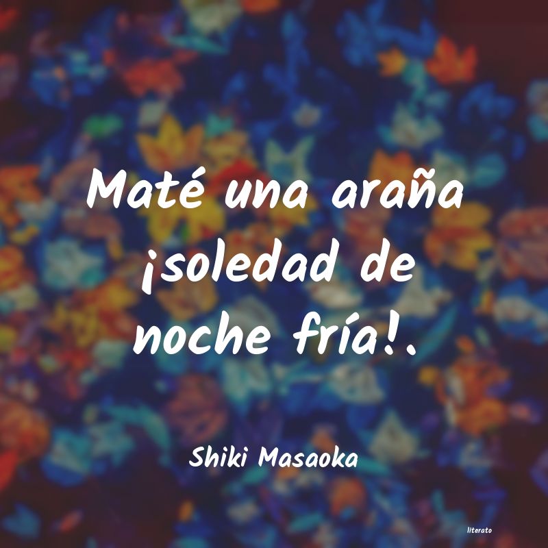 Frases de Shiki Masaoka