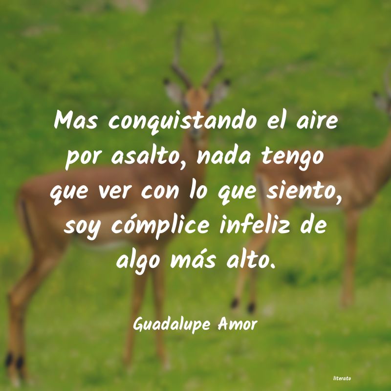 frases de Guadalupe Amor