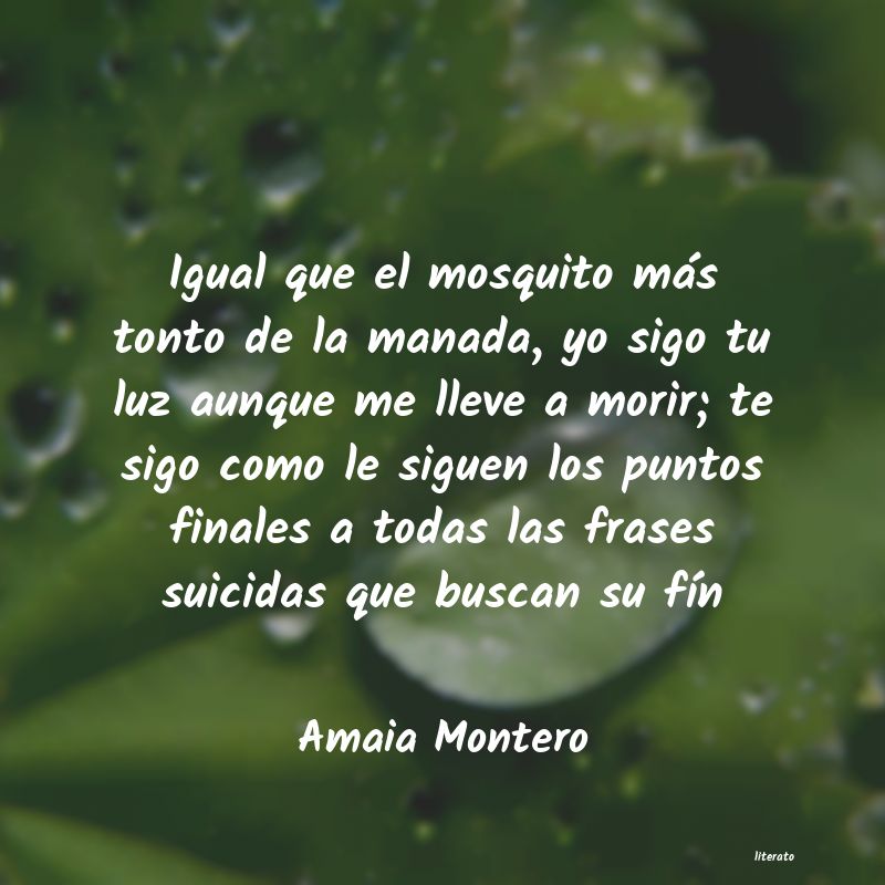 Amaia Montero: Igual que el mosquito más ton
